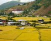 How Many Days Are Enough For Bhutan Tour